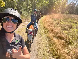 Guided Horseback Riding Tour in Central Florida