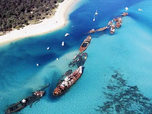 Snorkel the Wrecks Day Cruise - Option with Wild Dolphin Feeding Upgrade