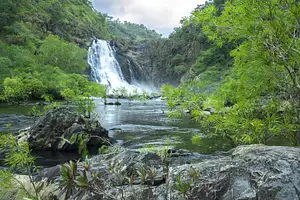Full Day 4WD Cooktown Tour