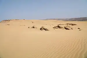 Buggy Ride Adventure with Moroccan Tea Tasting | From Agadir