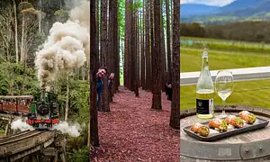 Puffing Billy train tour from Melbourne