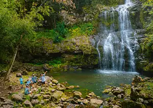 Explore Kohala Waterfalls – Scenic Hiking & Nature Tour