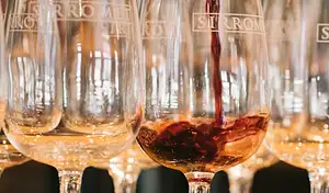 Winery Tour & Tasting Sirromet | Brisbane