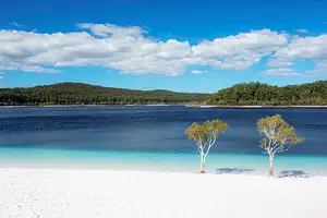 2 Day, 1 Night K'gari Tour from Rainbow Beach