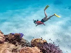 Ningaloo Reef Snorkel Adventure | Exmouth