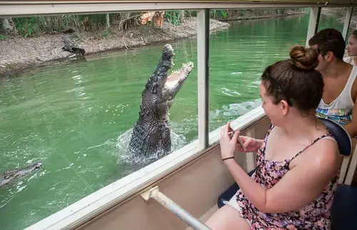 Kuranda: Scenic Rail, Coach and Hartley's Crocodile Adventure (CNS)